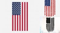 83+ Vertical American Flag Svg Free
