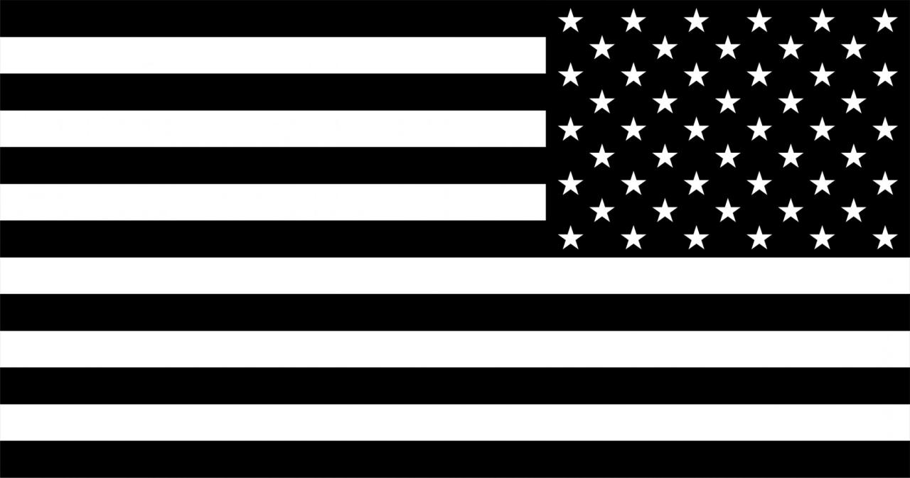 American Flag With Black Instead Of White