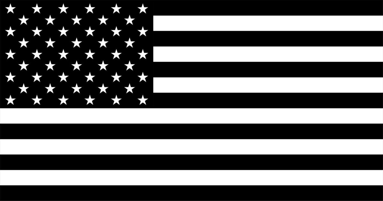Black And White American Flag