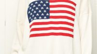 Brandy Melville American Flag Sweater