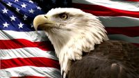 Eagle In Front Of American Flag