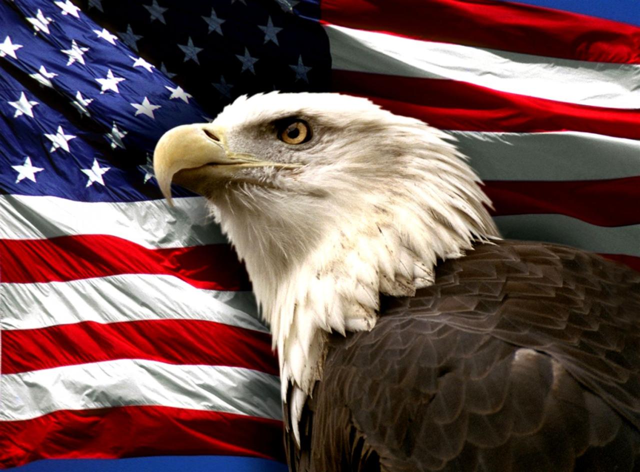 Eagle In Front Of American Flag