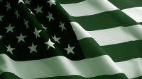Green And Giant American Flag